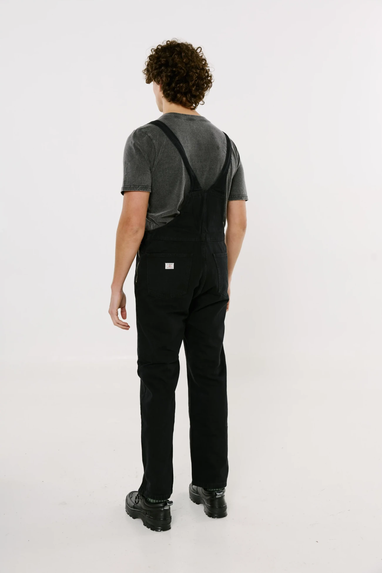 Jardinero negro - Image 3
