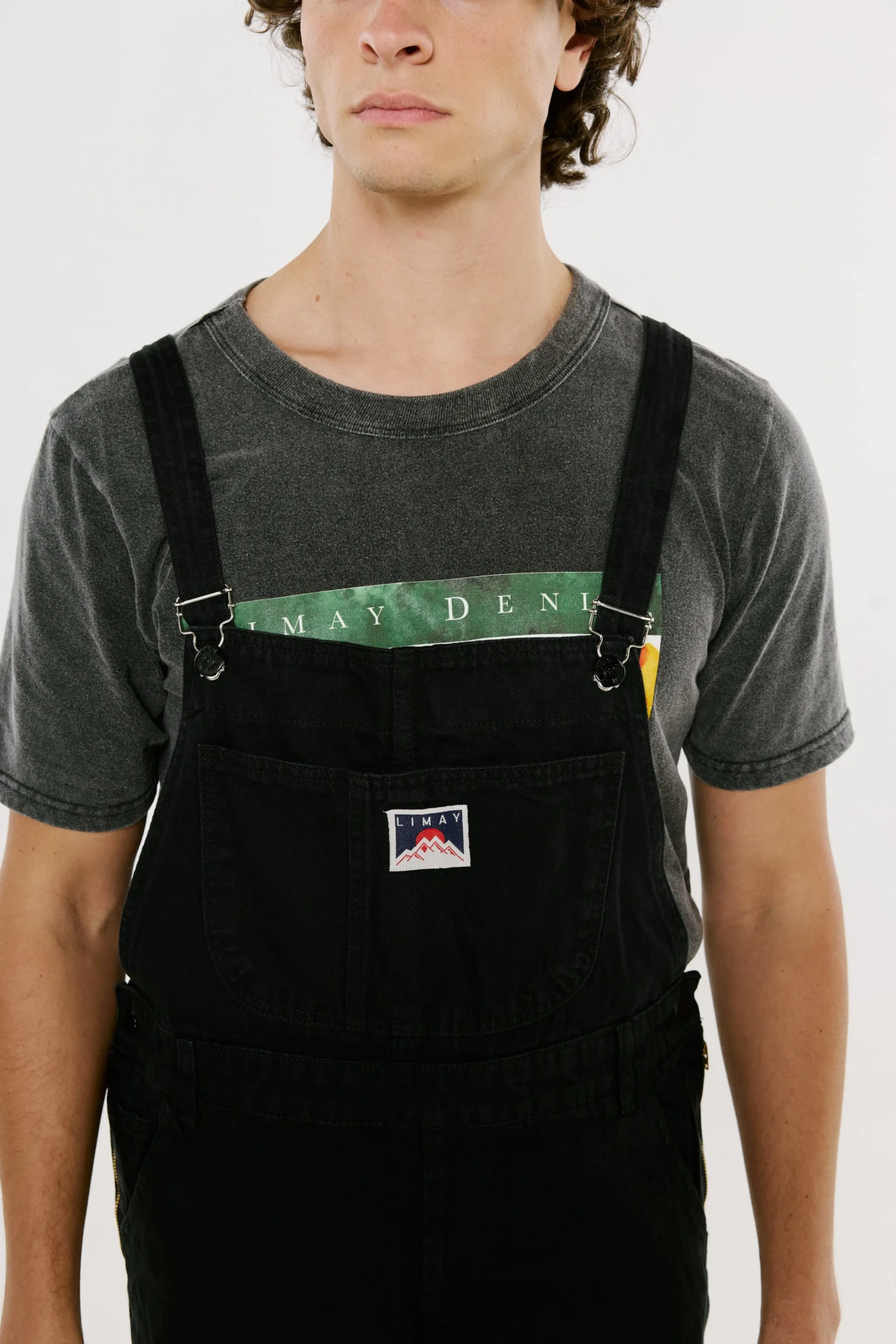 Jardinero negro - Image 2